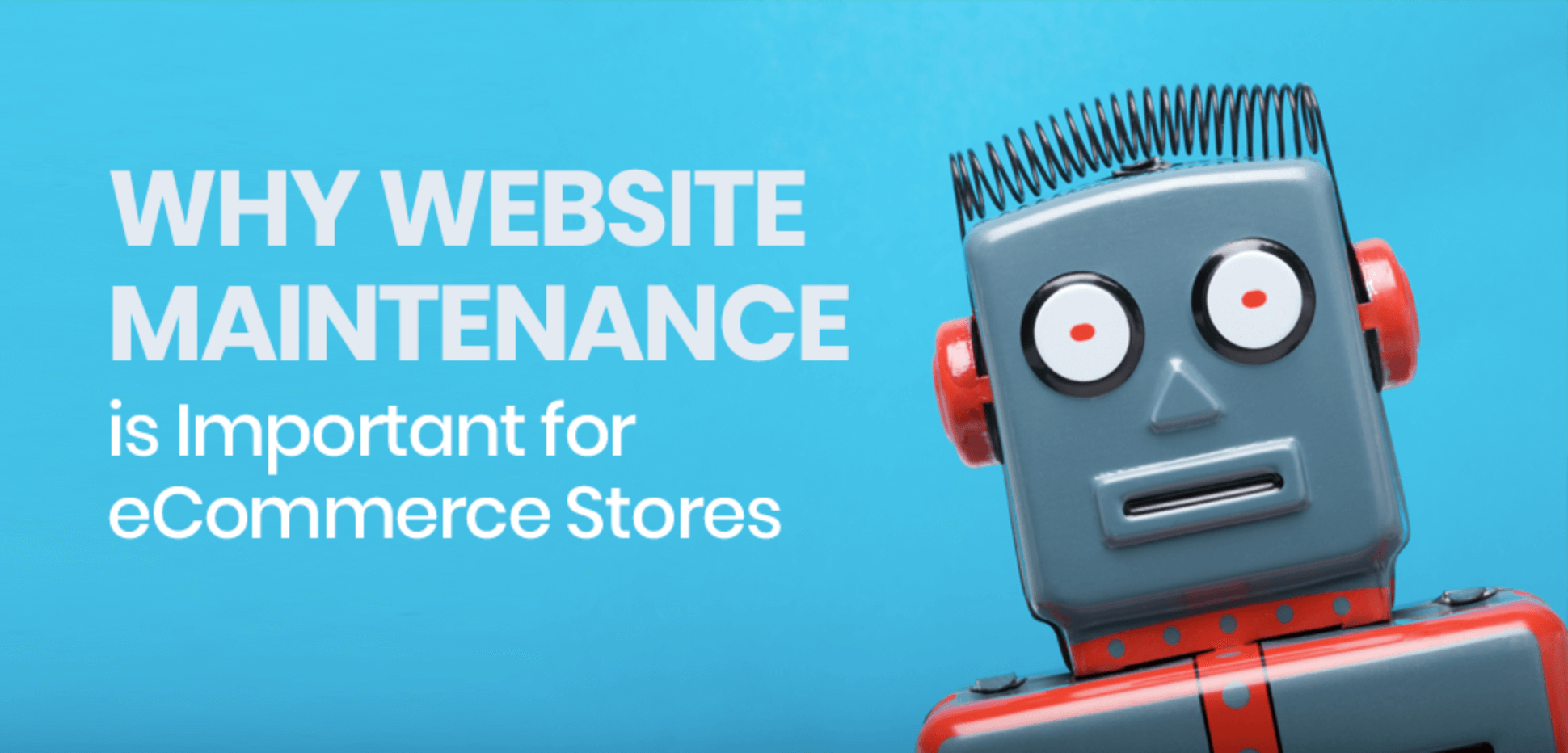 Why Website Maintenance is Important for eCommerce Stores