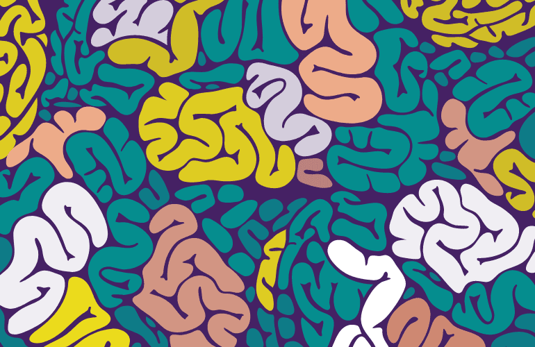 Multi-coloured brains joined together